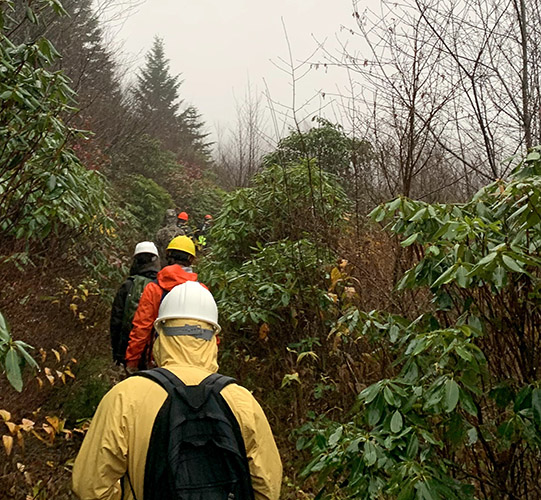 Natural Resources students in forest