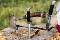 A hatchet and knives plunged into a tree stump.