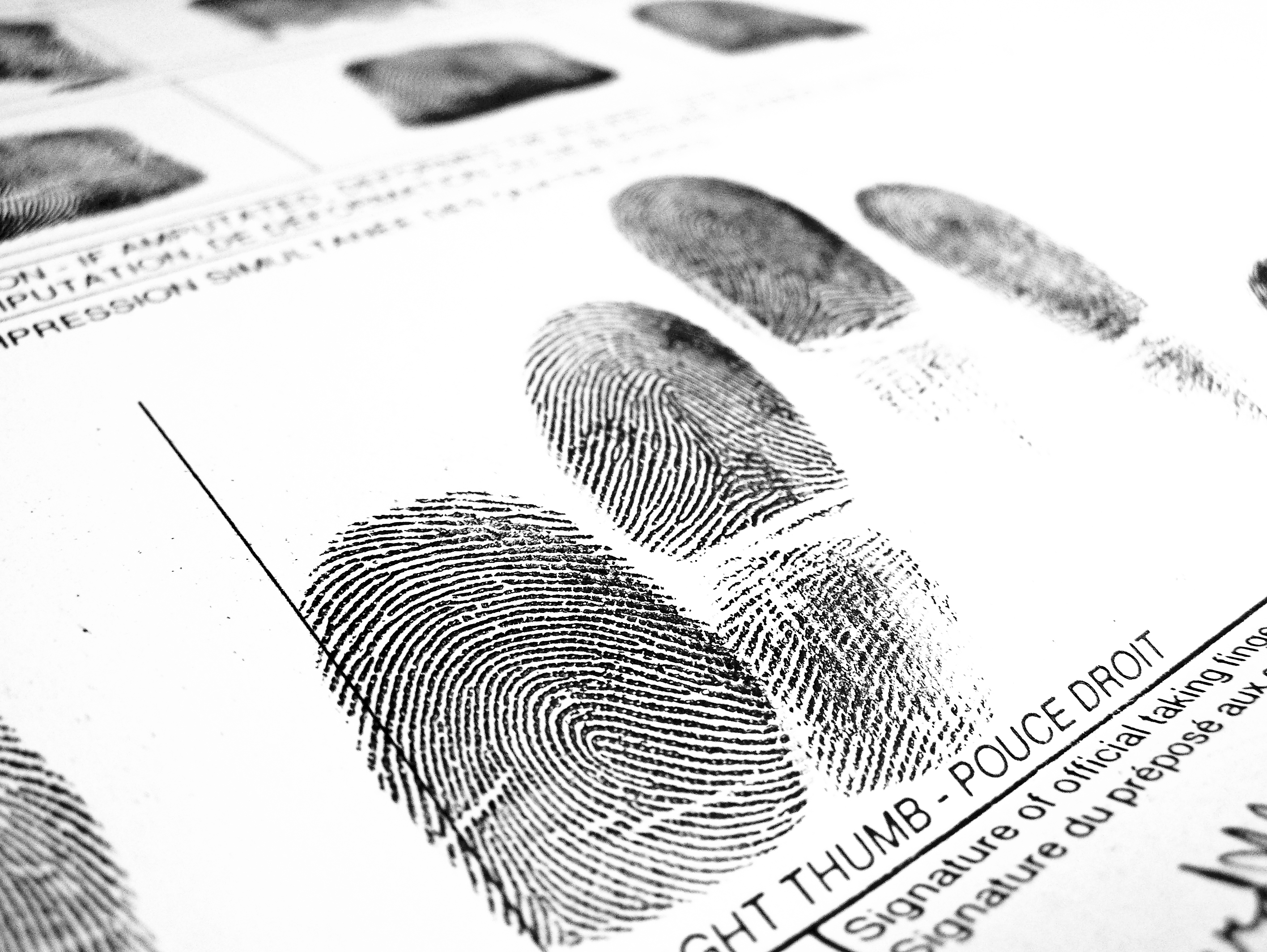 fingerprints