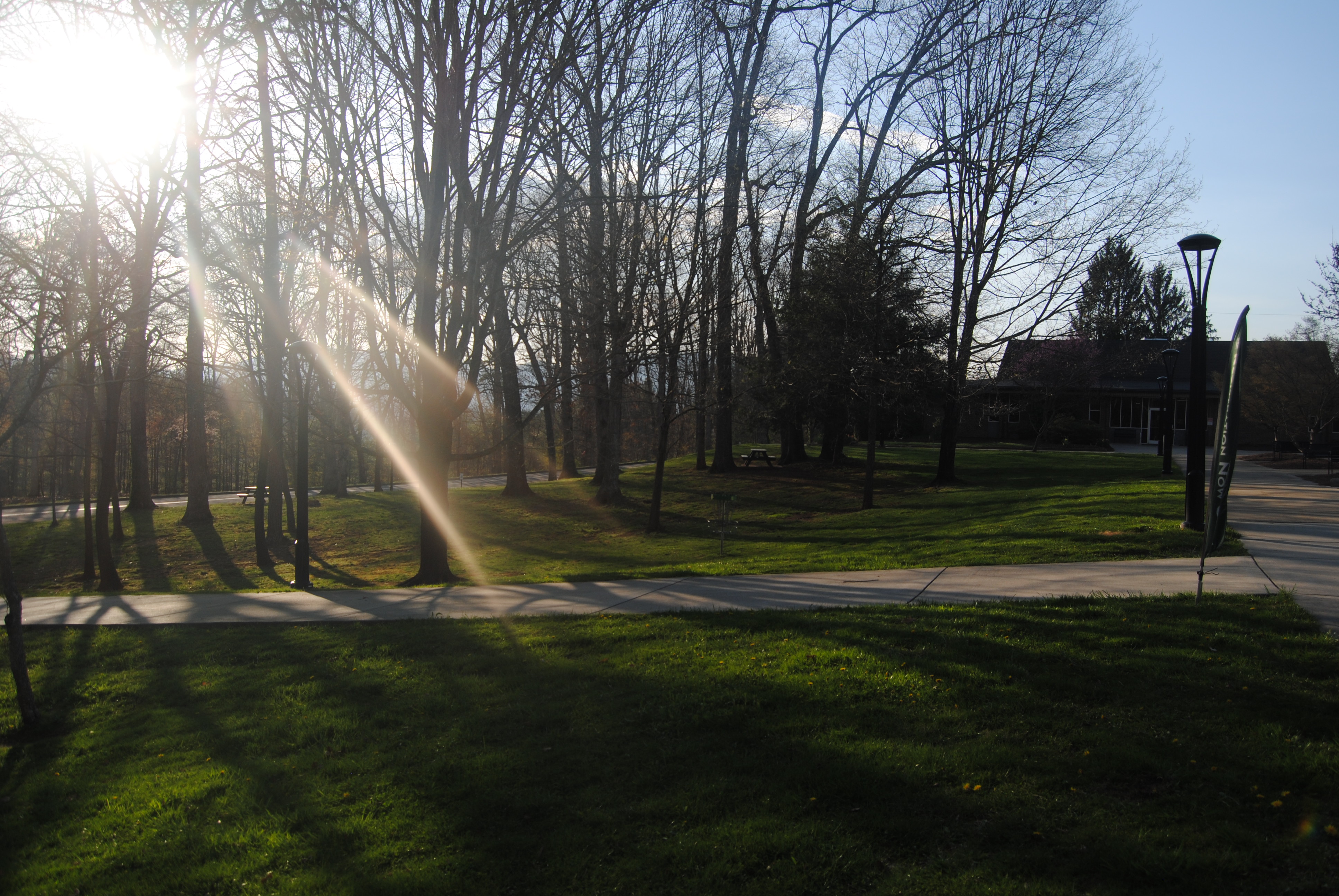 Sunshine on HCC campus