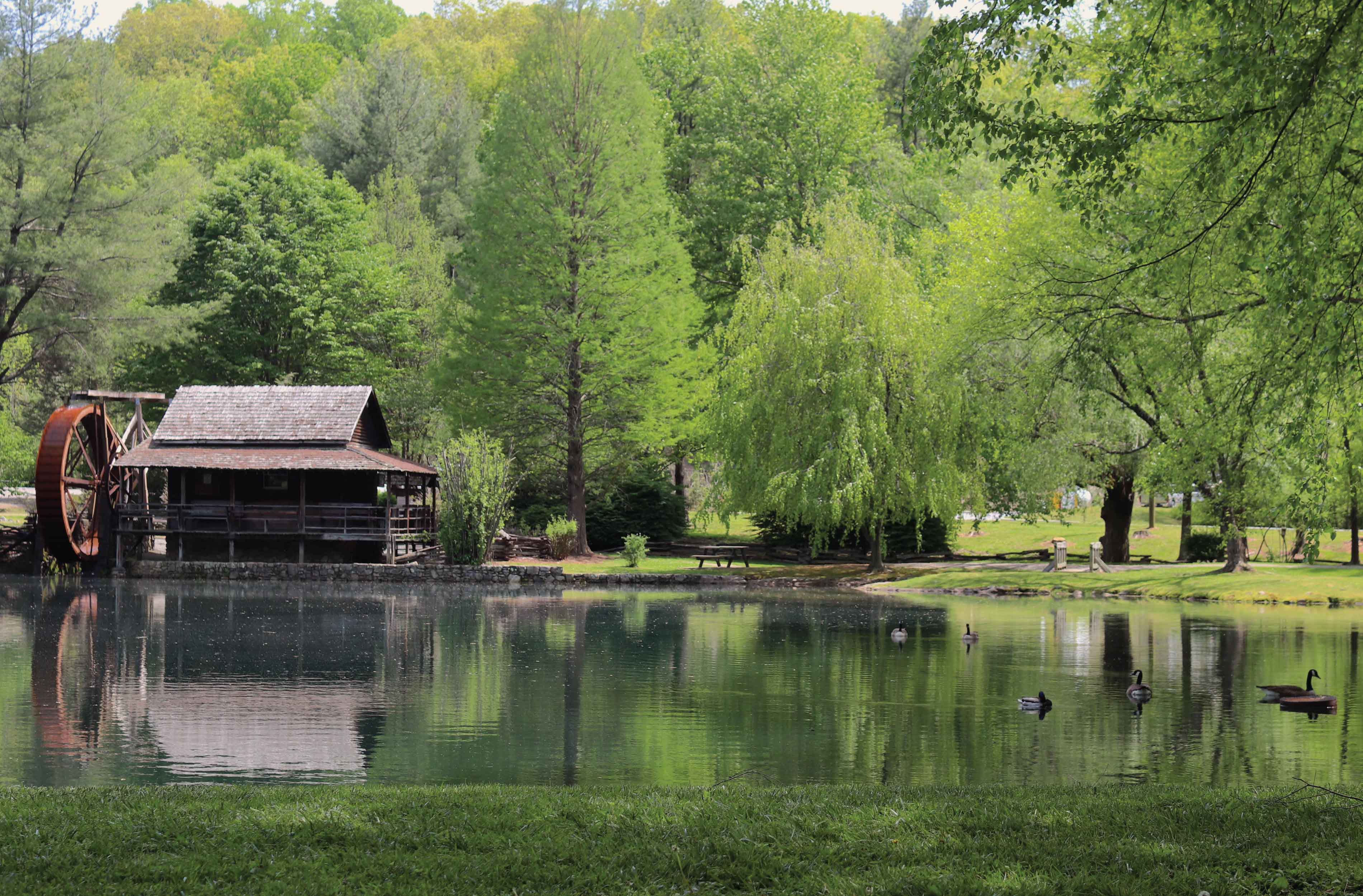 image of millpond