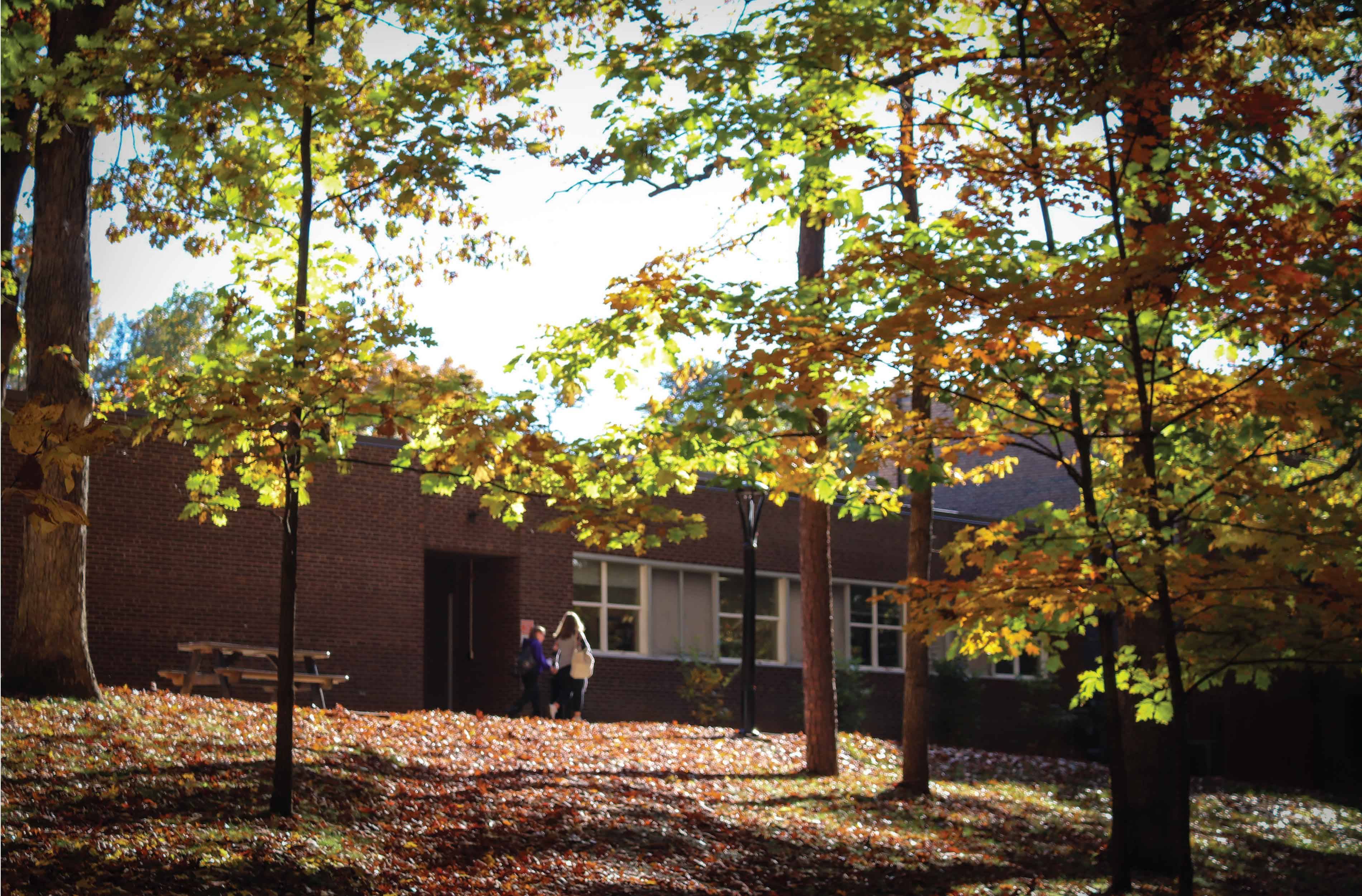 fall campus