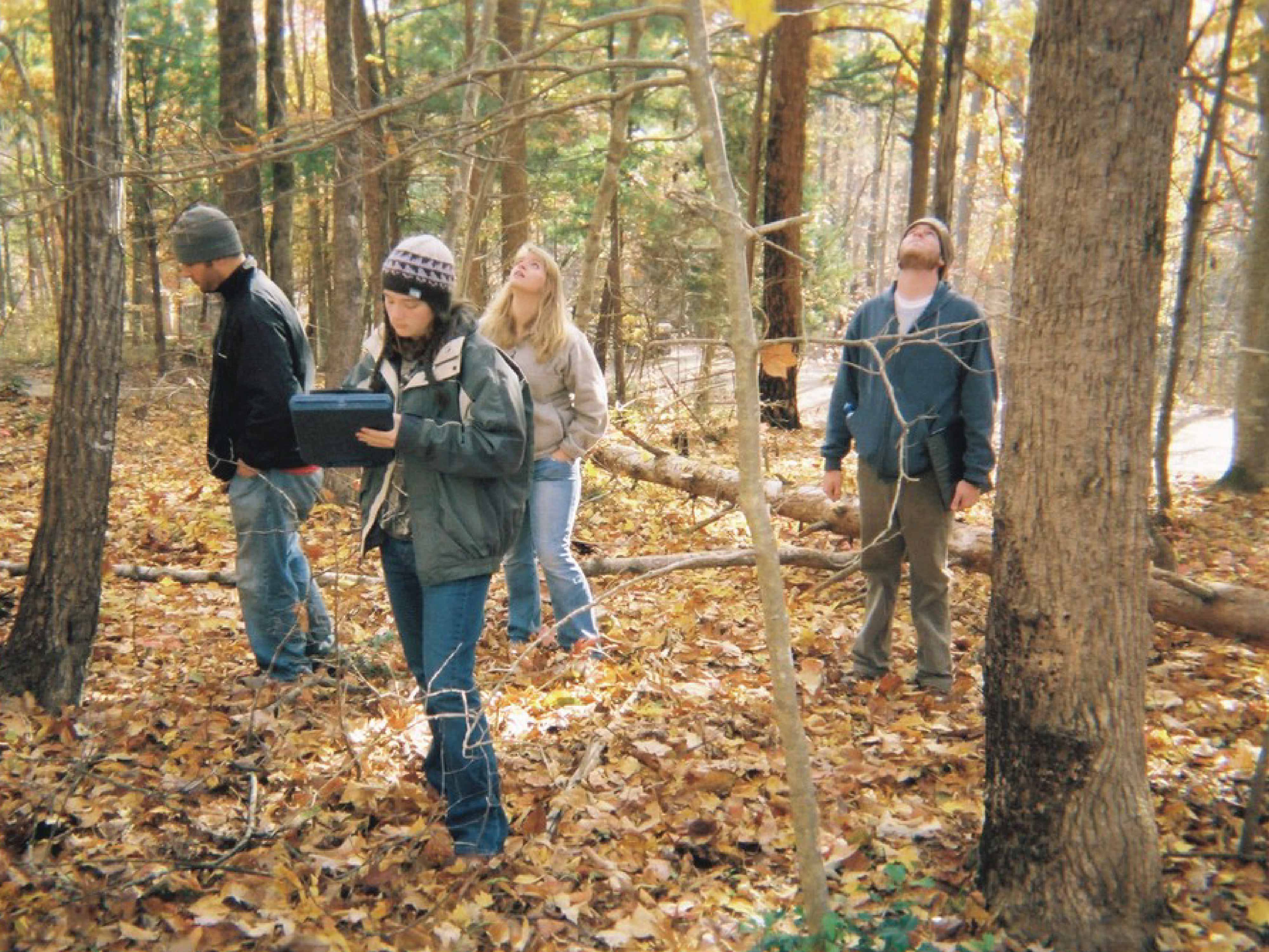 students gathering data in forest