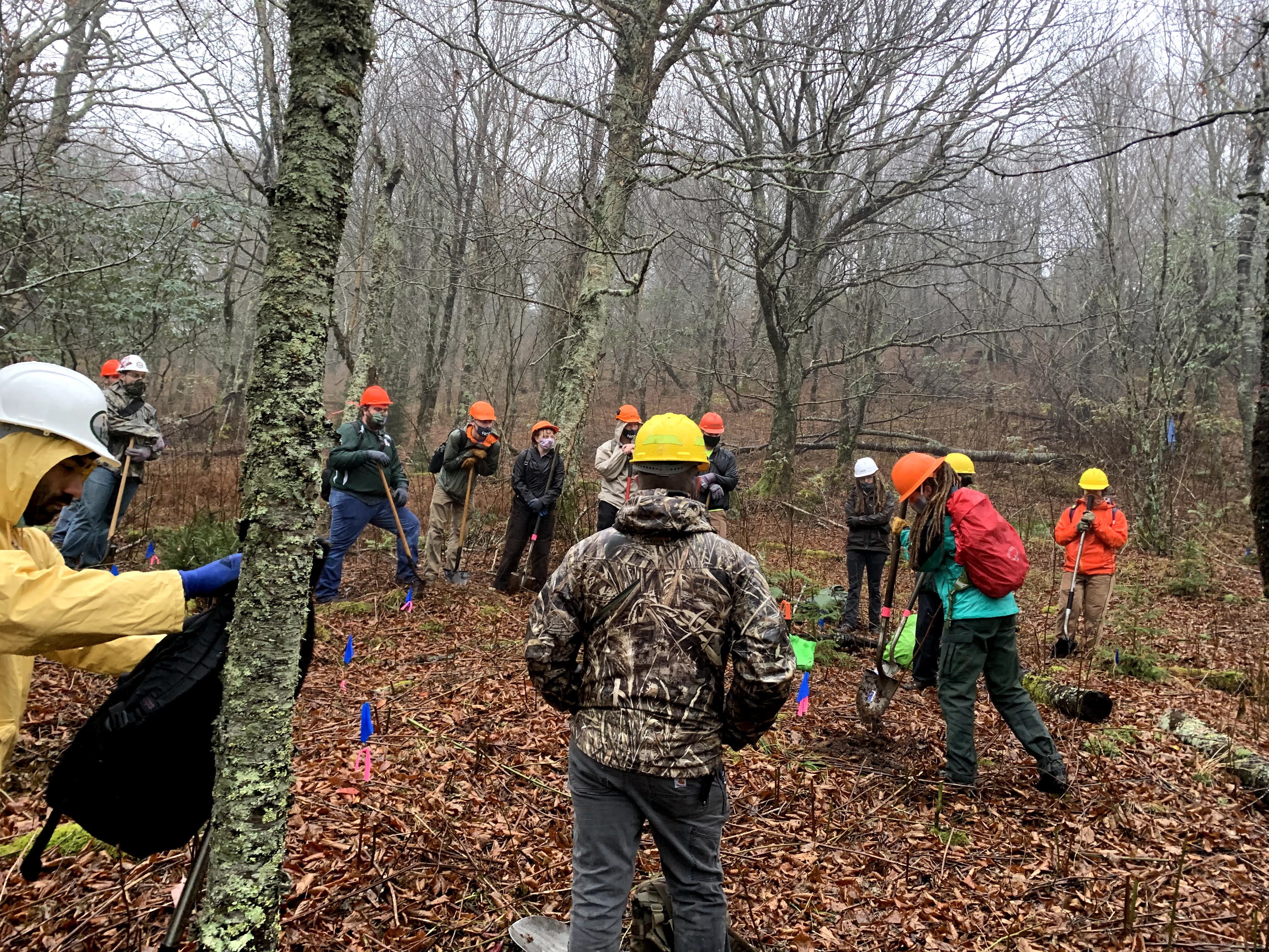students with hardhats walking through forest