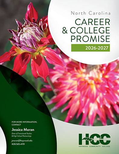 Pink flowers are pictured within a circling geometric pattern. 